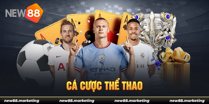Giới Thiệu New88 6 Cá cược thể thao