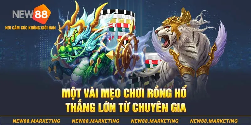Rồng Hổ Trực Tuyến New88 Đơn Giản, Dễ Chơi, Phần Thưởng Lớn 7 Một vài mẹo chơi rồng hổ thắng lớn từ cao thủ