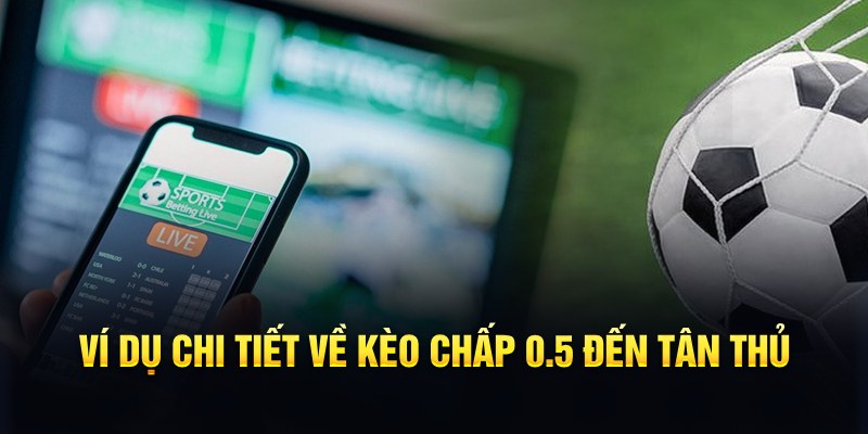 Kèo Chấp 0.5 - Hướng Dẫn Cách Bắt Kèo Ăn Đậm Thắng Lớn 6 Ví dụ chi tiết về kèo chấp 0.5 đến tân thủ