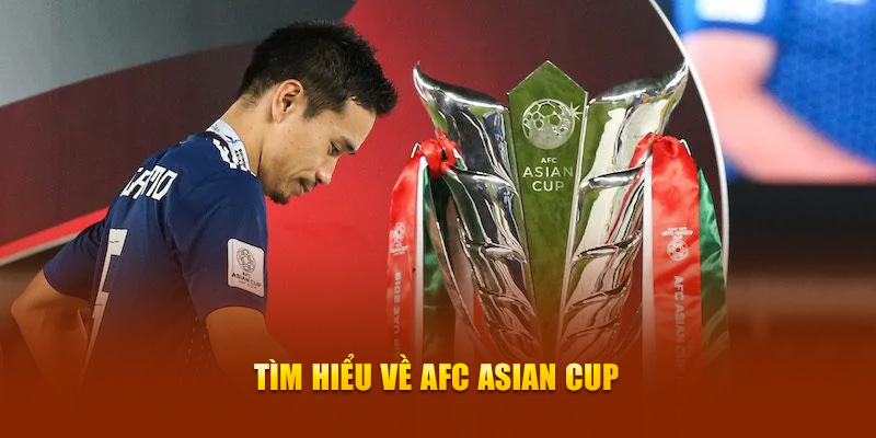 Giải Bóng Đá AFC Asian Cup - Cùng New88 Khám Phá Chi Tiết 5 Tìm hiểu về AFC Asian Cup